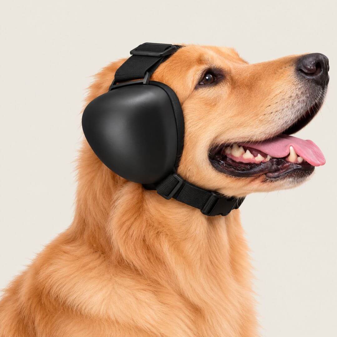 DogQuiet Shield